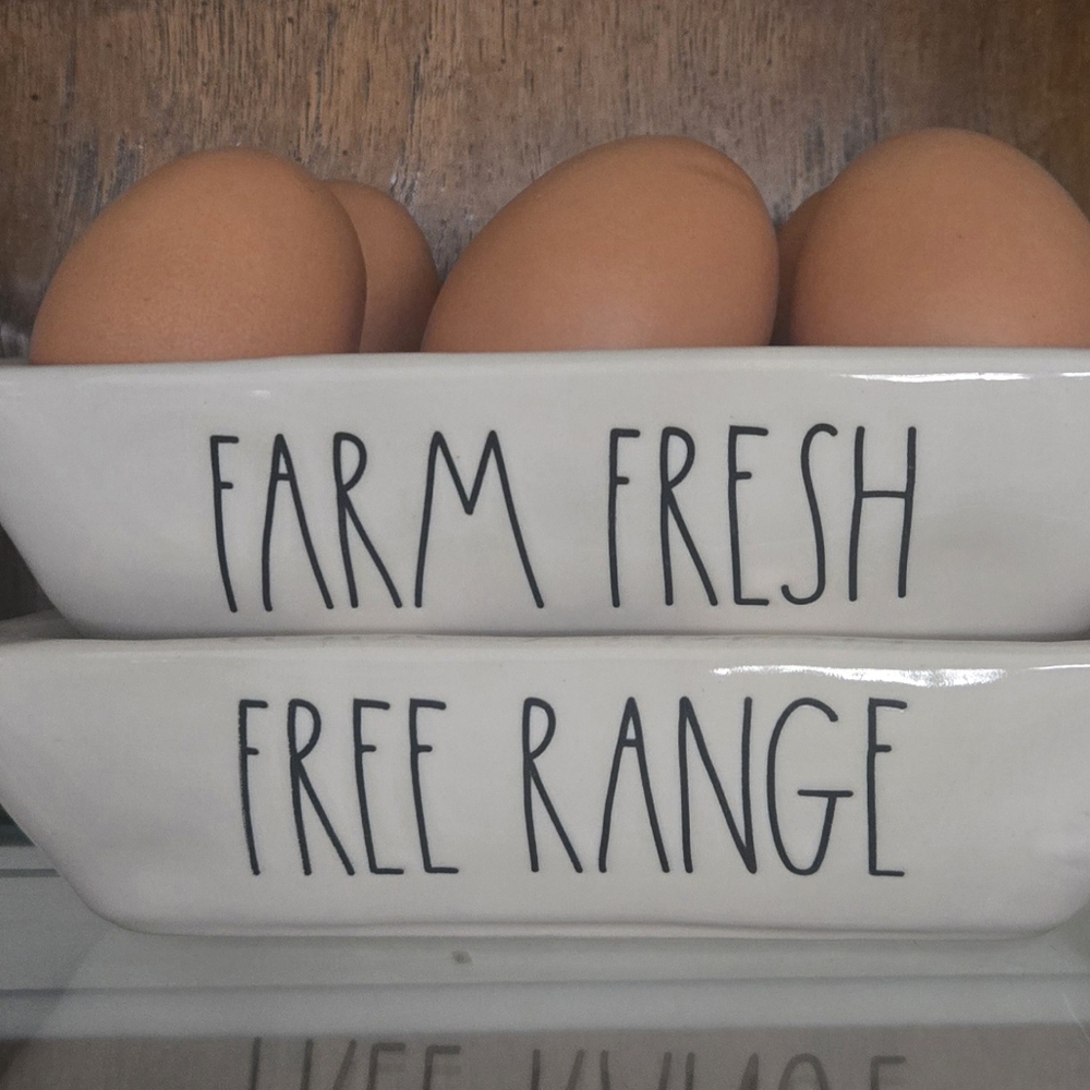 Rae Dunn FARM FRESH EGGS Set
